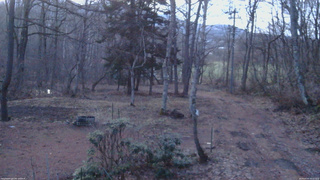 長野県菅平高原 ゆたか山荘 坂上 2026/04/05 05:15