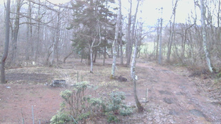 長野県菅平高原 ゆたか山荘 坂上 2026/04/05 05:30