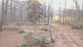 長野県菅平高原 ゆたか山荘 坂上 2026/04/05 06:00