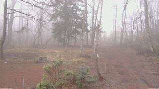 長野県菅平高原 ゆたか山荘 坂上 2026/04/05 06:45