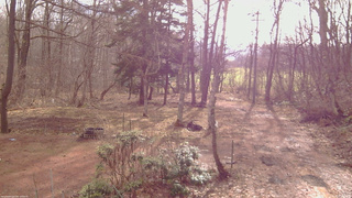 長野県菅平高原 ゆたか山荘 坂上 2026/04/05 07:45