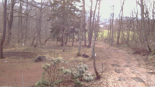 長野県菅平高原 ゆたか山荘 坂上 2026/04/05 08:00