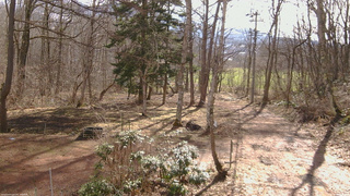 長野県菅平高原 ゆたか山荘 坂上 2026/04/05 08:15