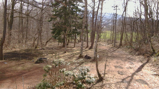 長野県菅平高原 ゆたか山荘 坂上 2026/04/05 08:30