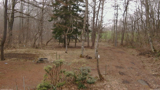 長野県菅平高原 ゆたか山荘 坂上 2026/04/05 10:30
