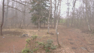 長野県菅平高原 ゆたか山荘 坂上 2026/04/05 11:45