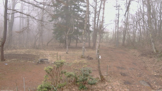 長野県菅平高原 ゆたか山荘 坂上 2026/04/05 12:00