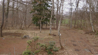 長野県菅平高原 ゆたか山荘 坂上 2026/04/05 12:45
