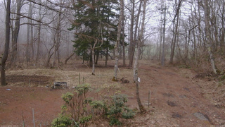 長野県菅平高原 ゆたか山荘 坂上 2026/04/05 13:15