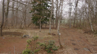 長野県菅平高原 ゆたか山荘 坂上 2026/04/05 13:45
