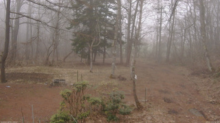 長野県菅平高原 ゆたか山荘 坂上 2026/04/05 15:30