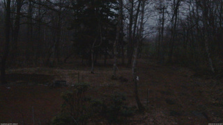 長野県菅平高原 ゆたか山荘 坂上 2026/04/05 18:30