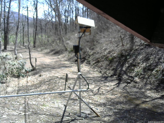 長野県菅平高原 ゆたか山荘 南側 2026/04/06 10:45