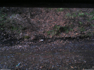 長野県菅平高原 ゆたか山荘 東側(坂下) 2026/04/06 05:15