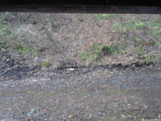 長野県菅平高原 ゆたか山荘 東側(坂下) 2026/04/06 05:45