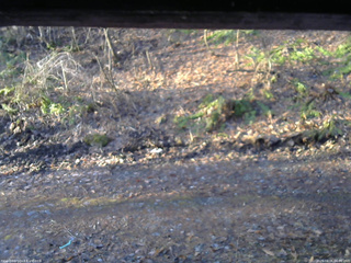 長野県菅平高原 ゆたか山荘 東側(坂下) 2026/04/06 06:00