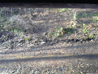 長野県菅平高原 ゆたか山荘 東側(坂下) 2026/04/06 06:30