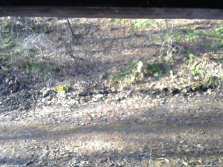 長野県菅平高原 ゆたか山荘 東側(坂下) 2026/04/06 06:45