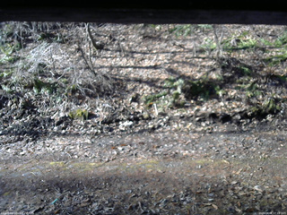 長野県菅平高原 ゆたか山荘 東側(坂下) 2026/04/06 07:15