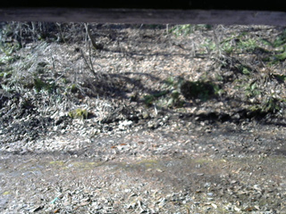 長野県菅平高原 ゆたか山荘 東側(坂下) 2026/04/06 07:30