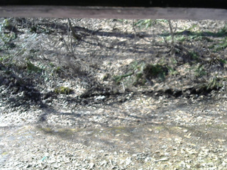 長野県菅平高原 ゆたか山荘 東側(坂下) 2026/04/06 08:15