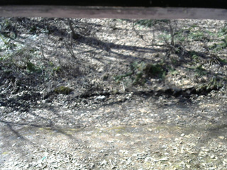 長野県菅平高原 ゆたか山荘 東側(坂下) 2026/04/06 08:45