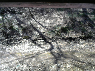 長野県菅平高原 ゆたか山荘 東側(坂下) 2026/04/06 09:45