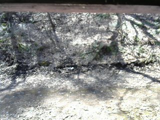 長野県菅平高原 ゆたか山荘 東側(坂下) 2026/04/06 10:30