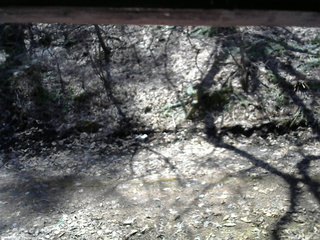 長野県菅平高原 ゆたか山荘 東側(坂下) 2026/04/06 10:45