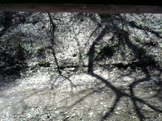 長野県菅平高原 ゆたか山荘 東側(坂下) 2026/04/06 11:00