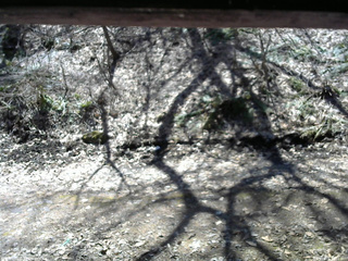 長野県菅平高原 ゆたか山荘 東側(坂下) 2026/04/06 11:15