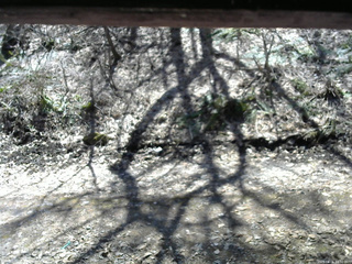 長野県菅平高原 ゆたか山荘 東側(坂下) 2026/04/06 11:30