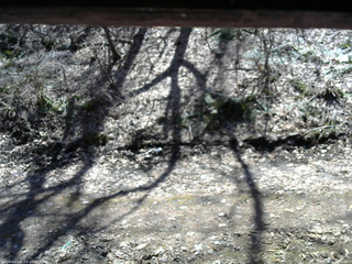 長野県菅平高原 ゆたか山荘 東側(坂下) 2026/04/06 12:00