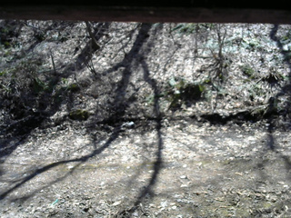 長野県菅平高原 ゆたか山荘 東側(坂下) 2026/04/06 12:15