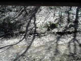 長野県菅平高原 ゆたか山荘 東側(坂下) 2026/04/06 12:30