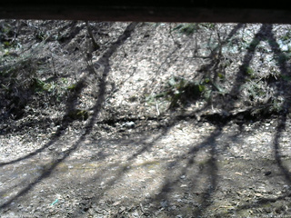 長野県菅平高原 ゆたか山荘 東側(坂下) 2026/04/06 12:45