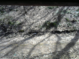 長野県菅平高原 ゆたか山荘 東側(坂下) 2026/04/06 13:15