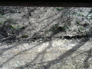 長野県菅平高原 ゆたか山荘 東側(坂下) 2026/04/06 13:30