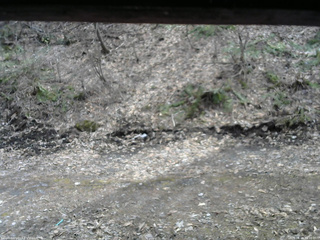 長野県菅平高原 ゆたか山荘 東側(坂下) 2026/04/06 14:00