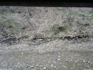 長野県菅平高原 ゆたか山荘 東側(坂下) 2026/04/06 15:30