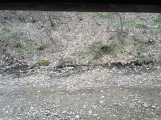 長野県菅平高原 ゆたか山荘 東側(坂下) 2026/04/06 16:45