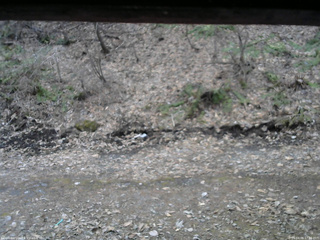 長野県菅平高原 ゆたか山荘 東側(坂下) 2026/04/06 17:30