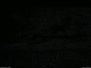 長野県菅平高原 ゆたか山荘 東側(坂下) 2026/04/06 18:30