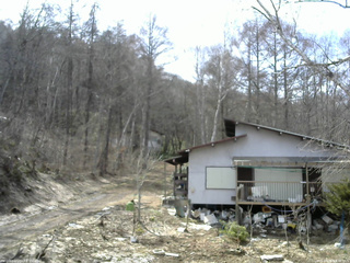 長野県菅平高原 ゆたか山荘 西側(坂上) 2026/04/06 13:30