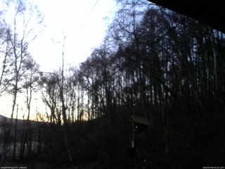 長野県菅平高原 ゆたか山荘 温度計 2026/04/06 05:15