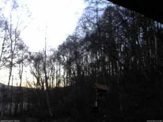 長野県菅平高原 ゆたか山荘 温度計 2026/04/06 05:30