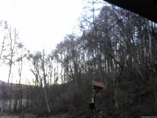 長野県菅平高原 ゆたか山荘 温度計 2026/04/06 05:45