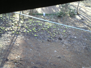 長野県菅平高原 ゆたか山荘 駐車場 2026/04/06 06:15