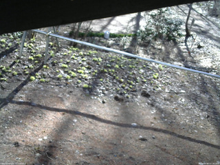 長野県菅平高原 ゆたか山荘 駐車場 2026/04/06 07:30