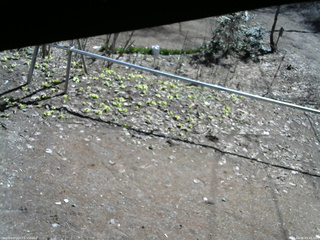 長野県菅平高原 ゆたか山荘 駐車場 2026/04/06 09:45